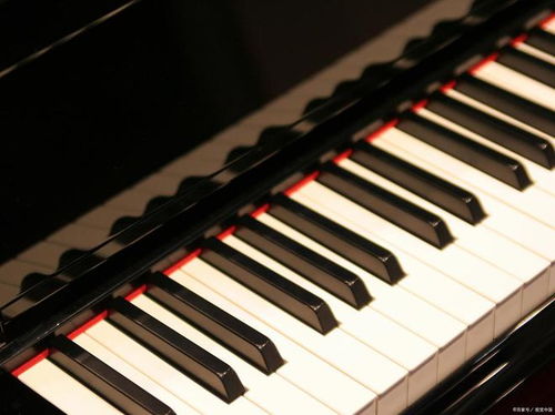 鋼琴調(diào)律師證書有什么用,怎么報(bào)名的