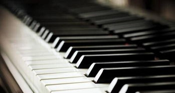 專業(yè)鋼琴一對一授課 沈陽音樂學(xué)院鋼琴系的卓越傳承